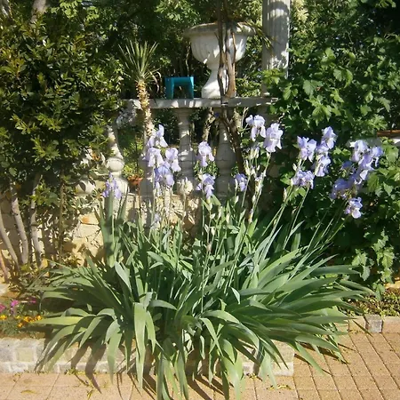 펜션 Schoenes Ferienhaus In Mit Garten, Terrasse Und Grill 노비비노돌스키